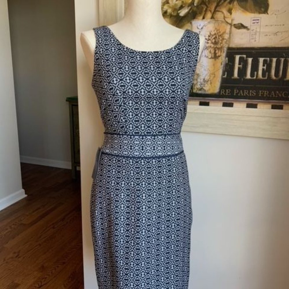 NWT The Limited Shift Dress Size 4Tall